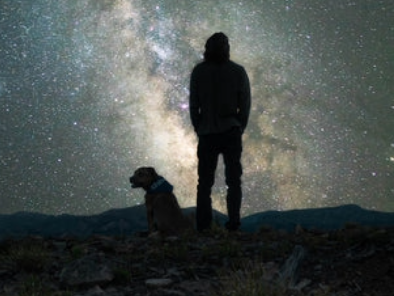 Sternzeichen Fische bei Hunden