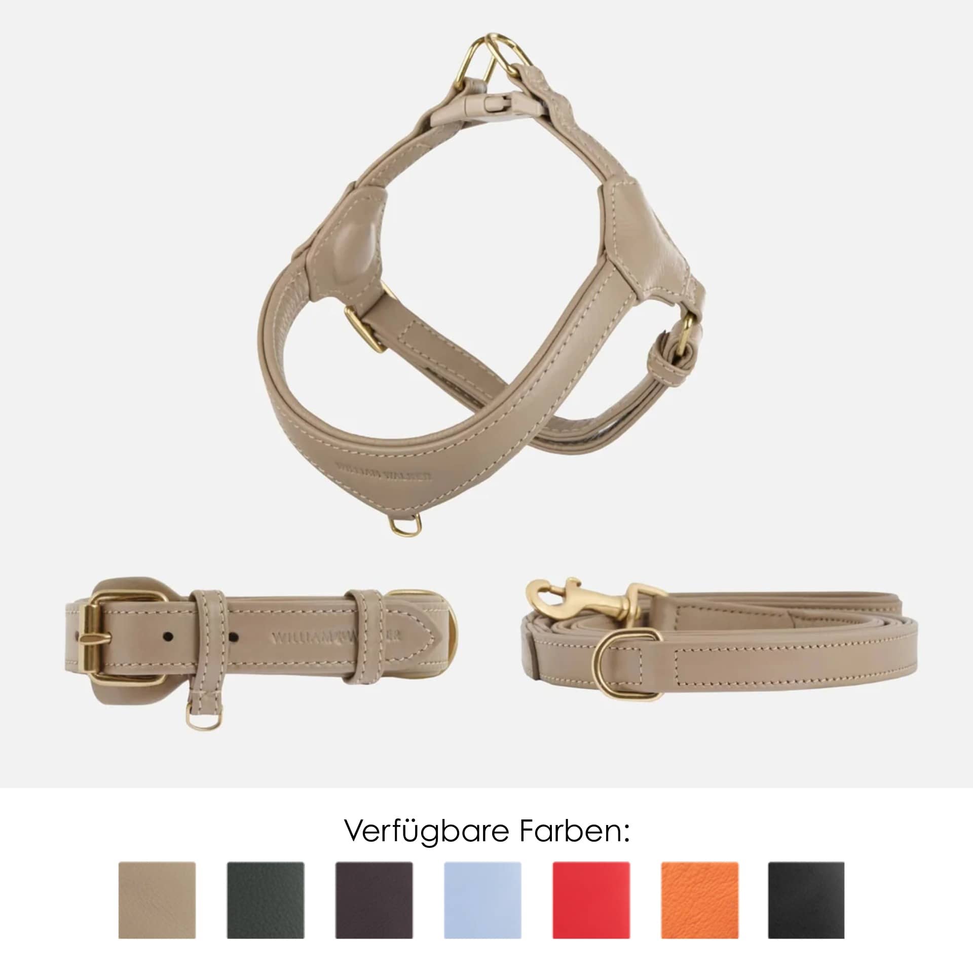 Hund im Büro Ausstattung Premium: Stilvolles Zubehör für Entspannte Bürohunde
