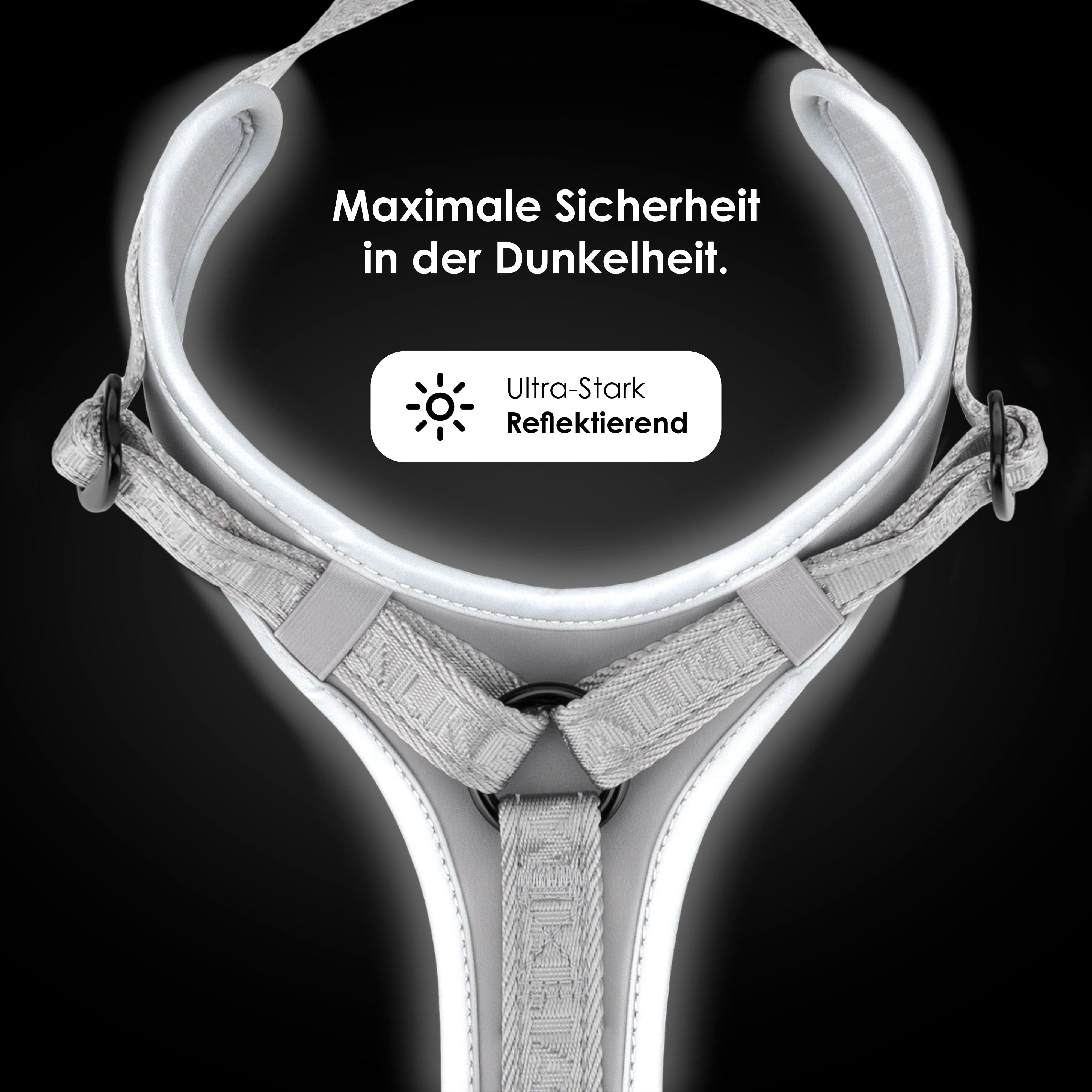 William Walker Hochwertiges Y-Hundegeschirr Lunar (Reflektierend)