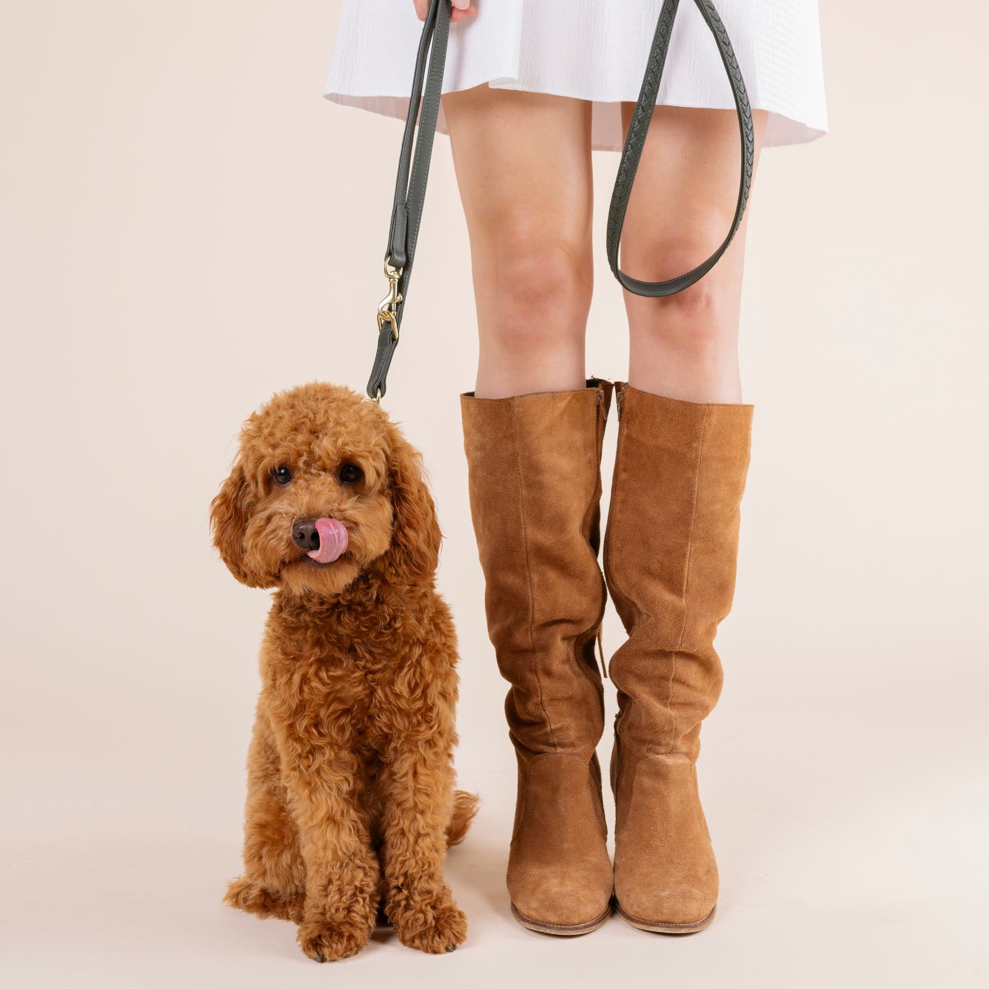 William Walker Hochwertige Leder Hundeleine Prestige Forest (Waldgrün)