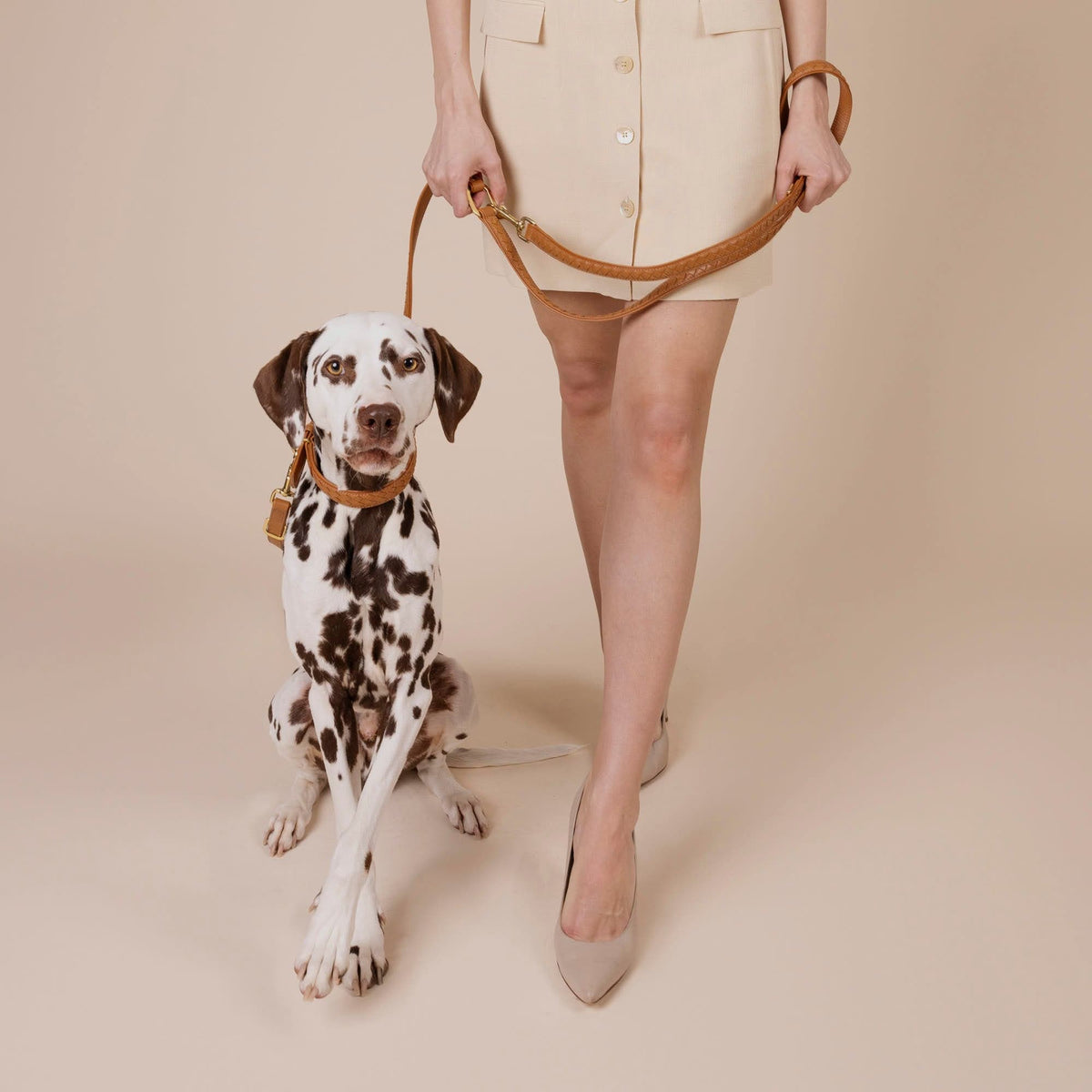 William Walker Premium leather dog leash Prestige Caramel