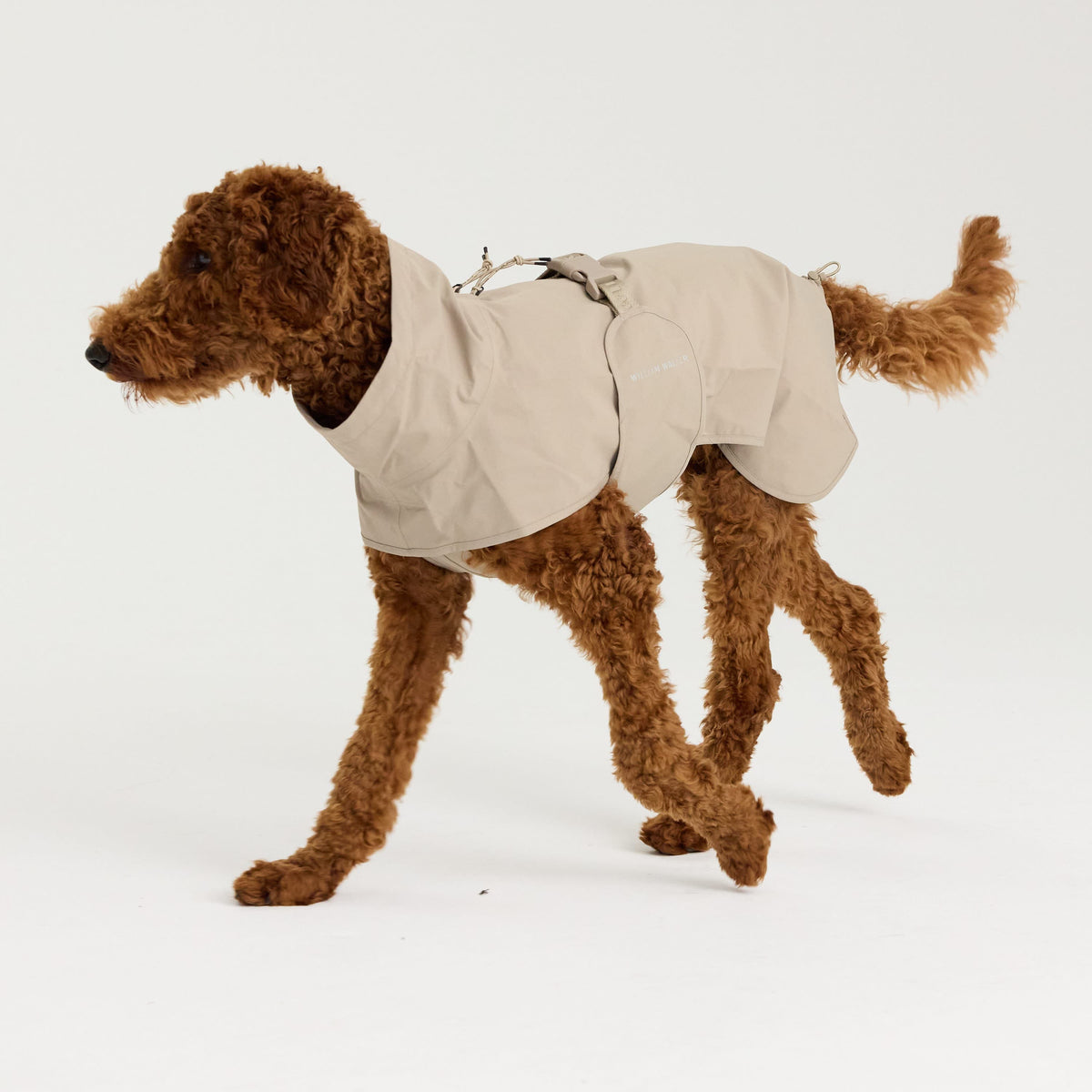 William Walker Impermeabile per cani Harbour