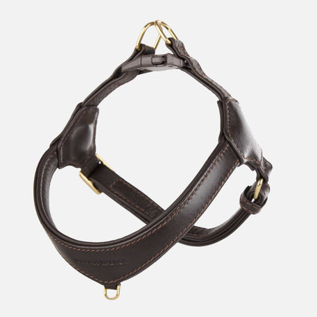 William Walker Step-In Leather Dog Harness Pico for Small Dogs Earth / 1