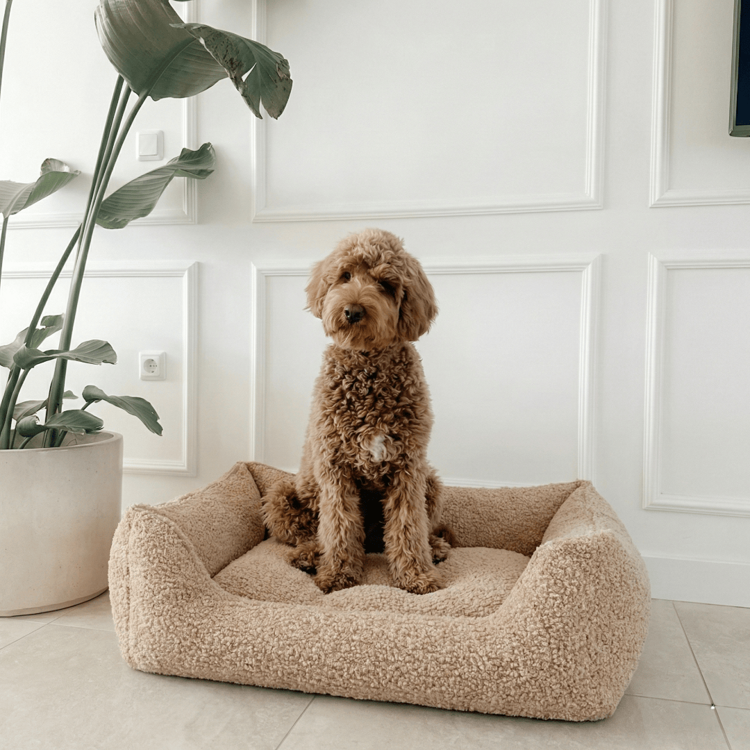 William Walker Orthopädisches Hundebett Cozy