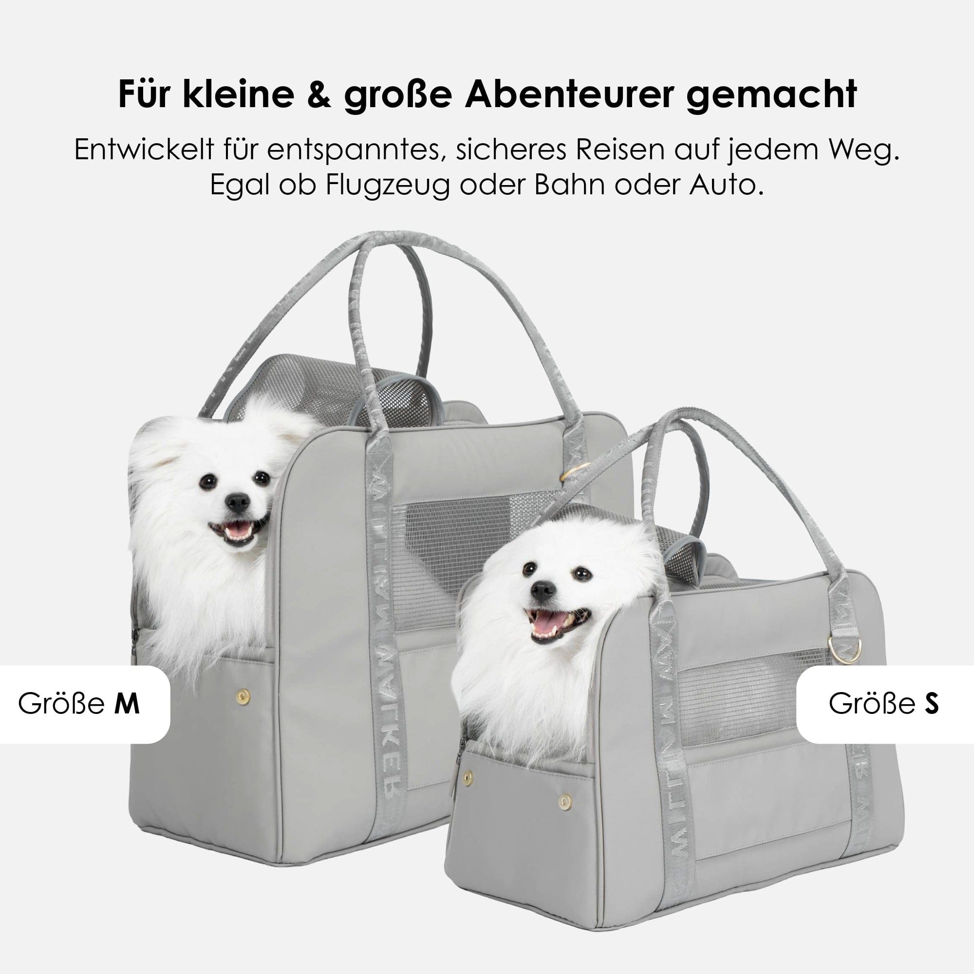 William Walker Hundetragetasche fürs Flugzeug Cloud Summit