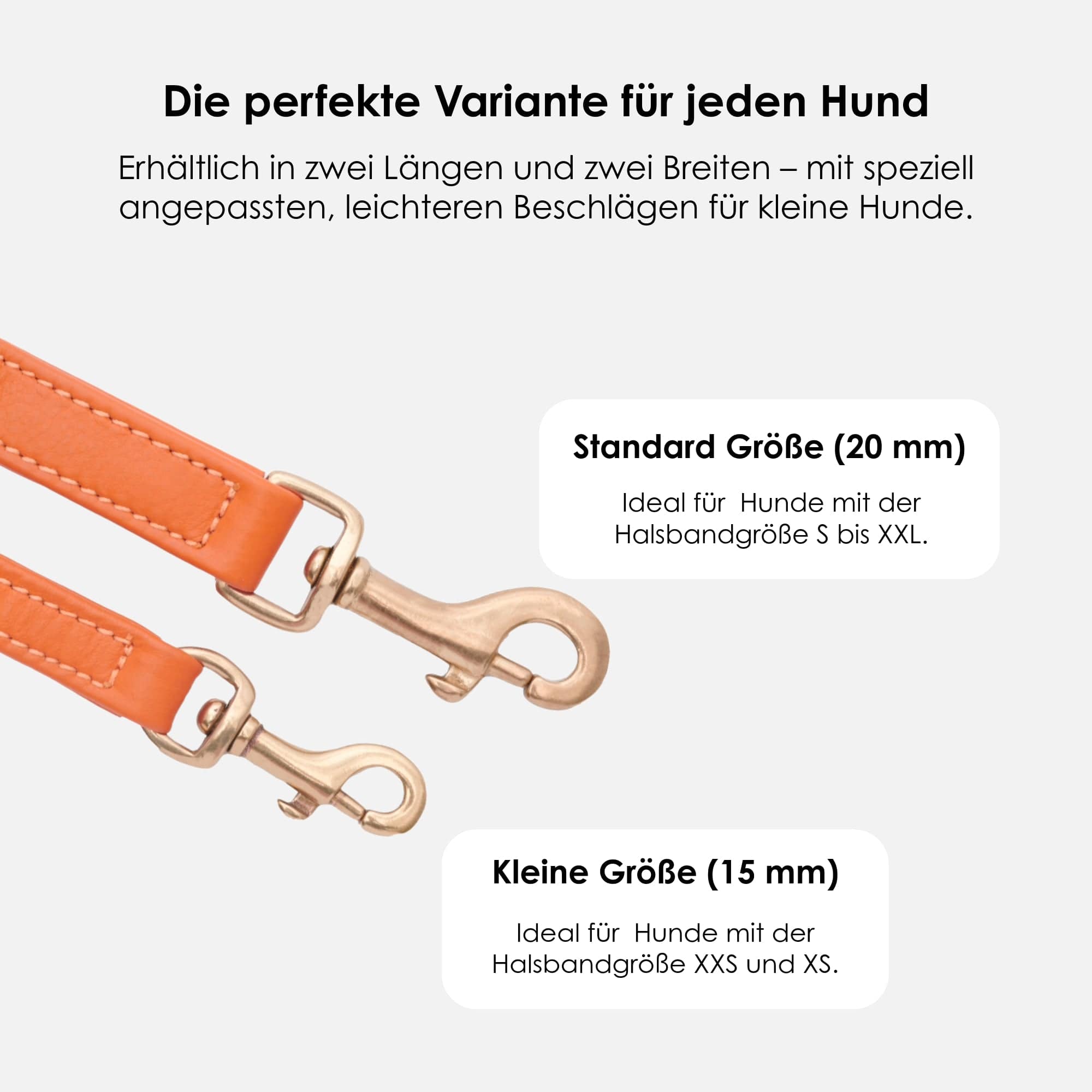 William Walker Hochwertige Leder Hundeleine Amber (Orange)