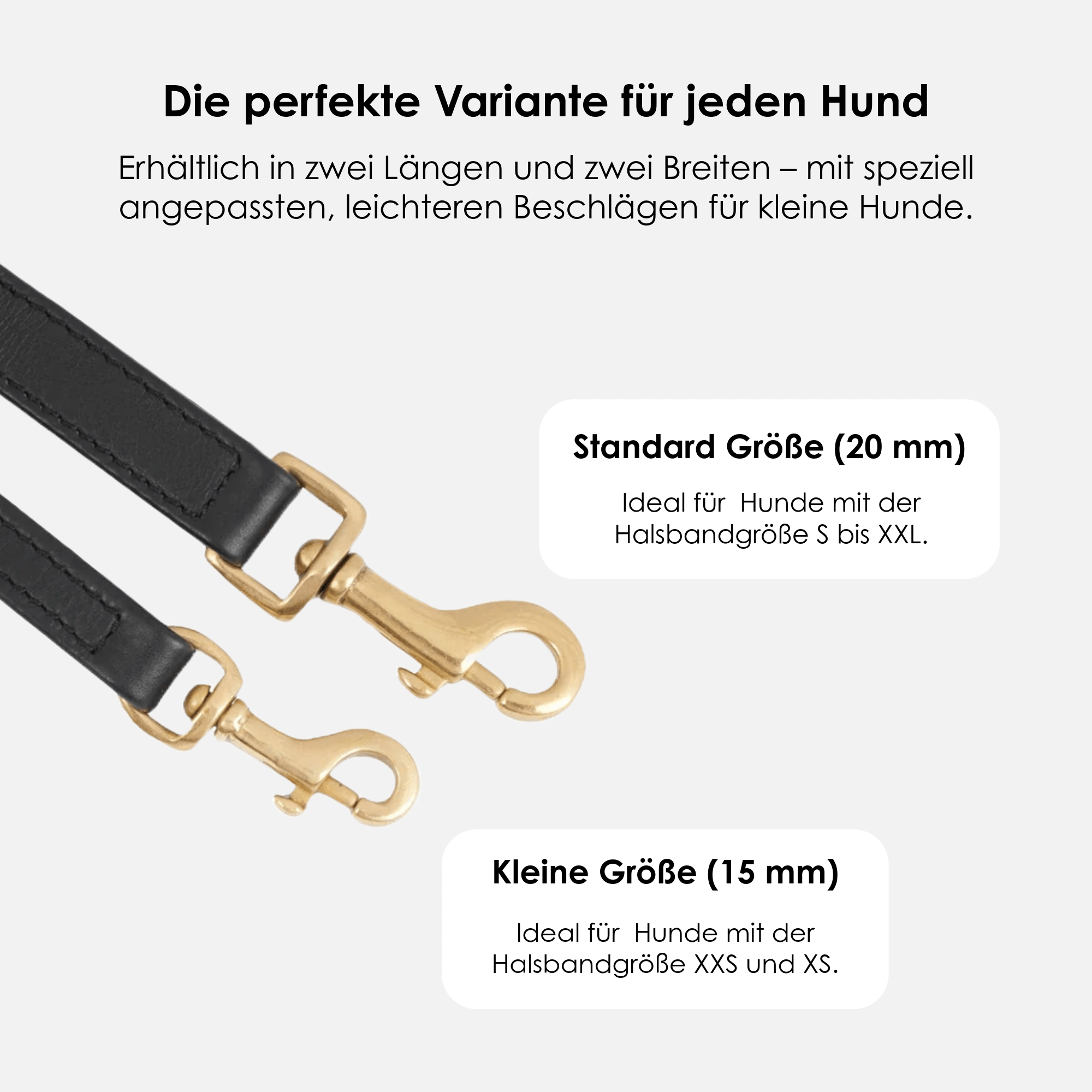 William Walker Hochwertige Leder Hundeleine Noir (Schwarz)