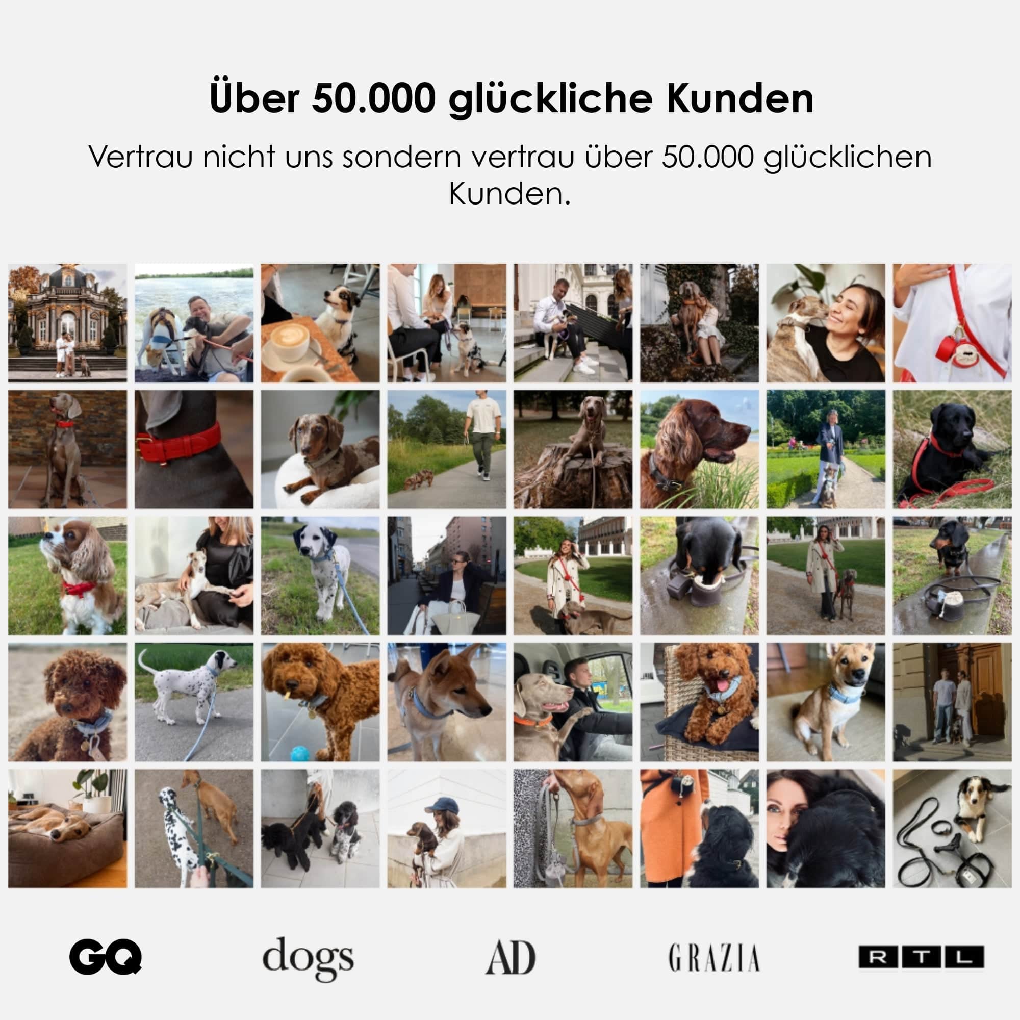 William Walker Hochwertige Leder Hundeleine Sand (Beige)