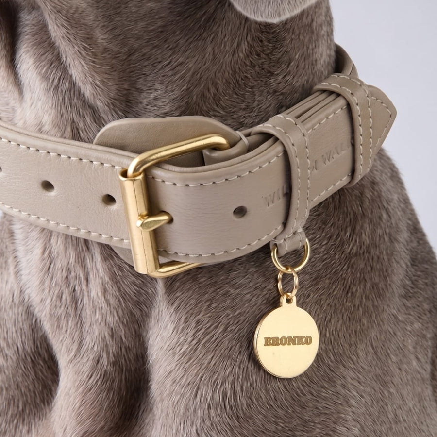 Targhetta per cane in ottone personalizzabile