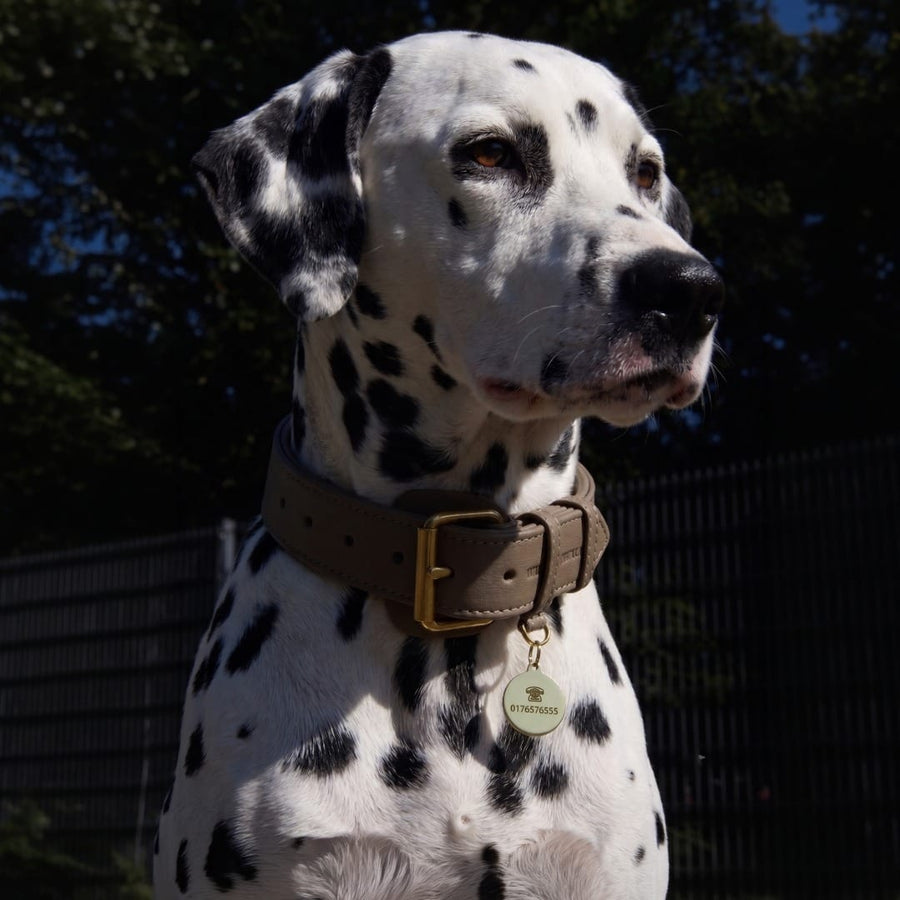 Targhetta per cane in ottone personalizzabile