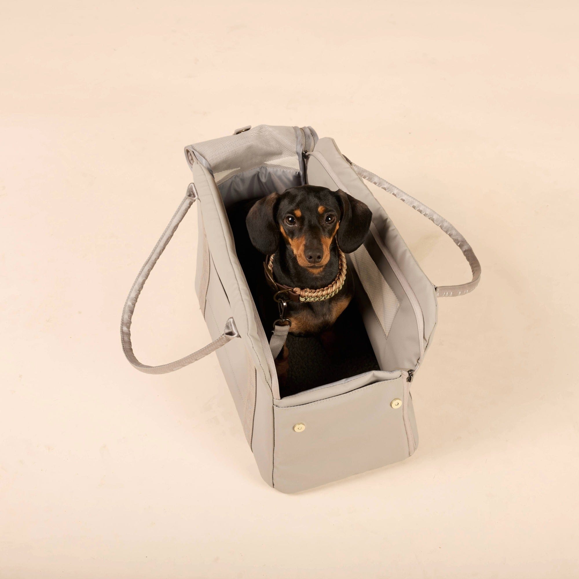 William Walker Hundetragetasche fürs Flugzeug Cloud Summit