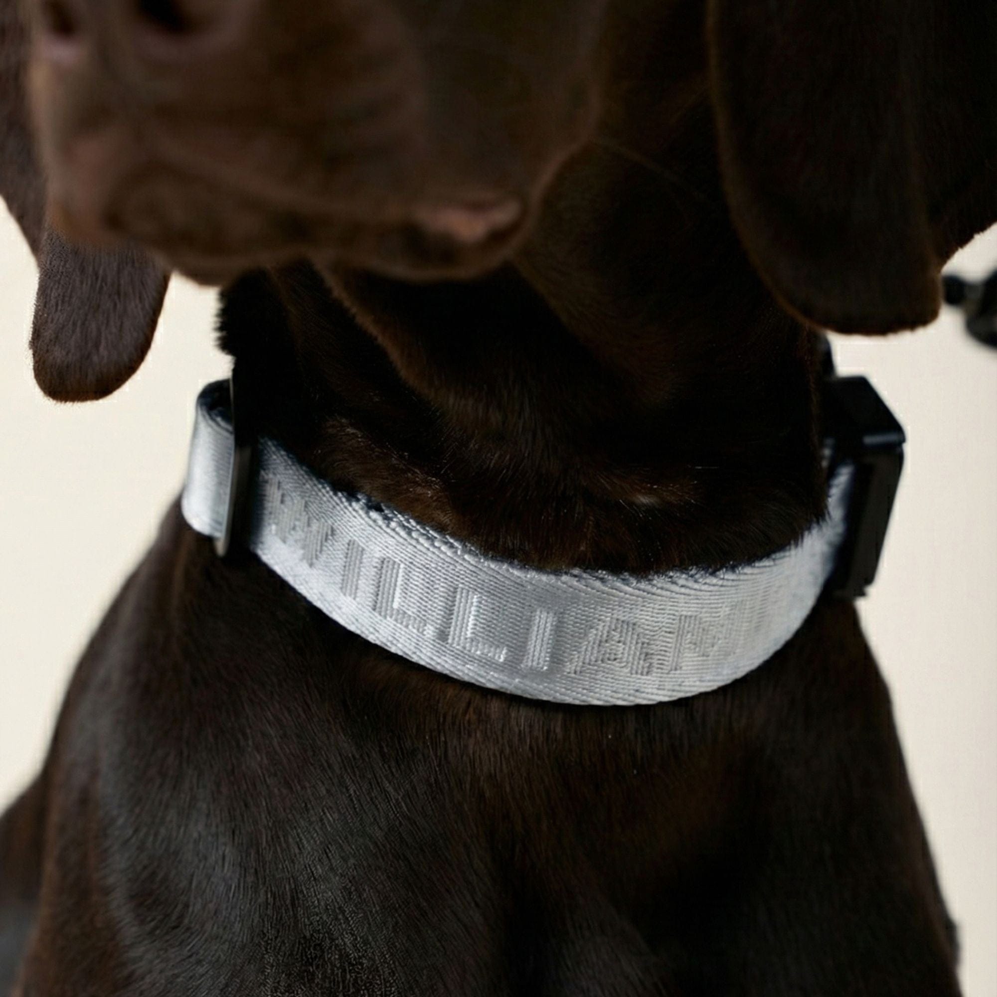 William Walker Jacquard Nylon Hundehalsband Lunar (Reflektierend)