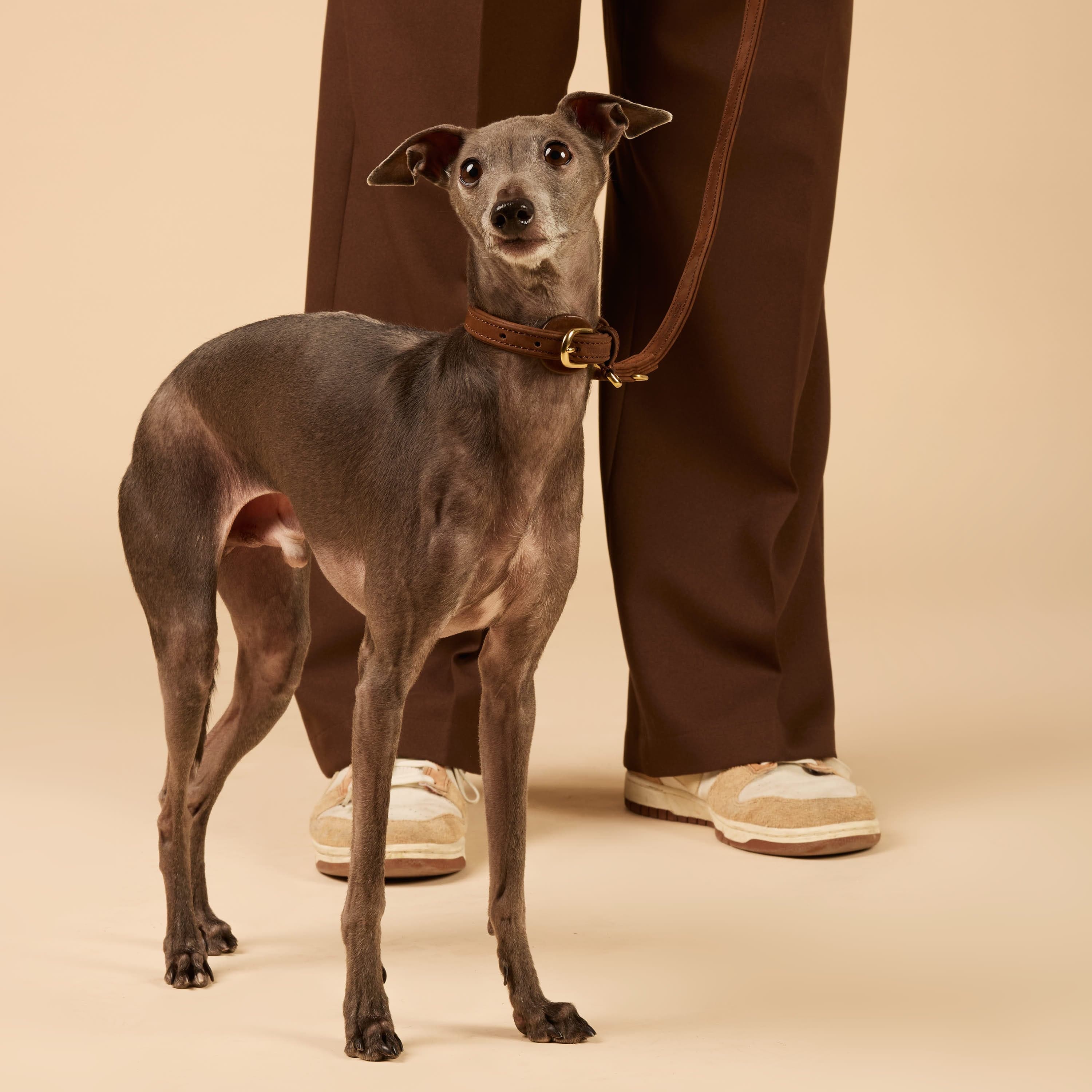 William Walker Premium Walking Set aus wasserfestem Nubukleder