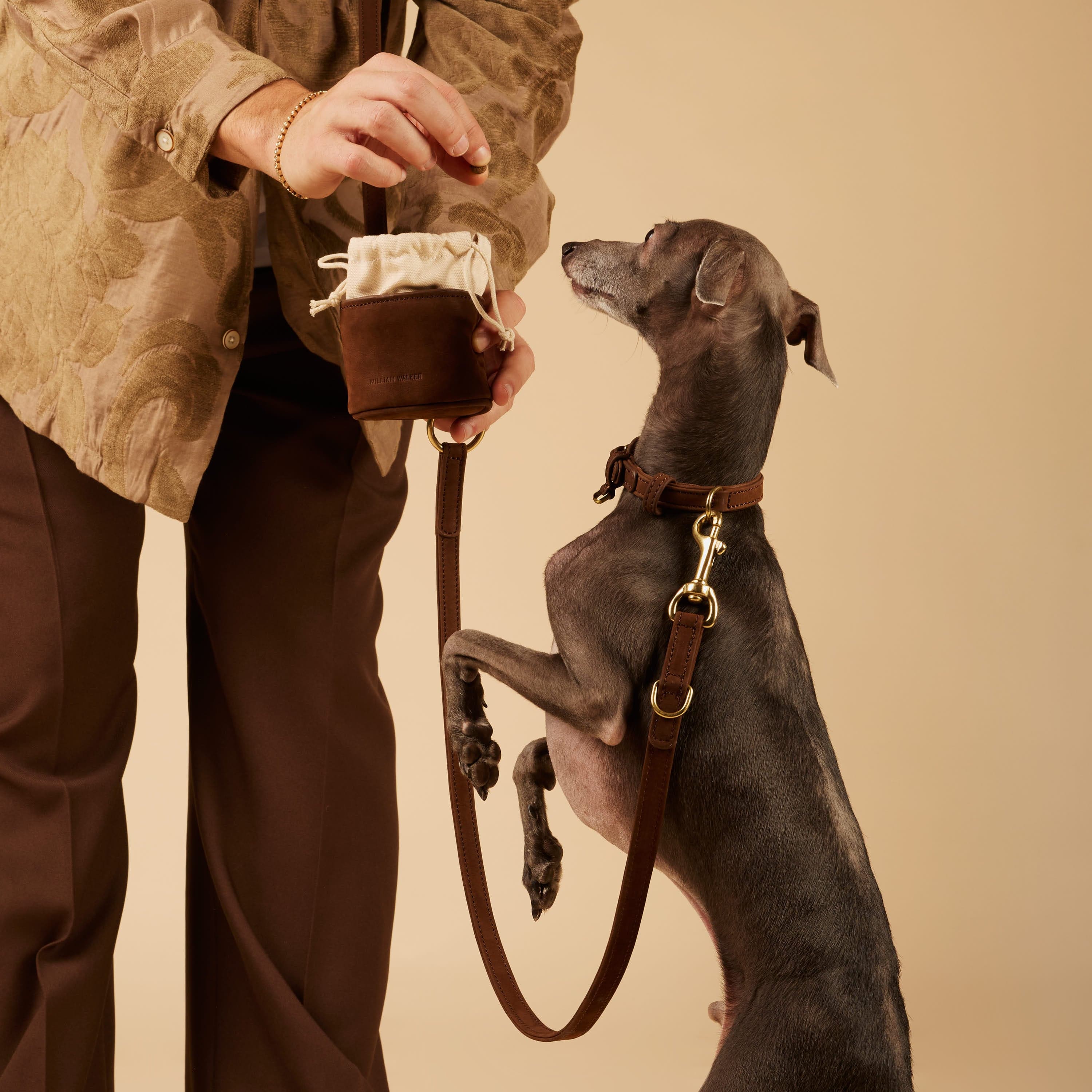 William Walker Hundehalsband aus wasserfestem Nubukleder