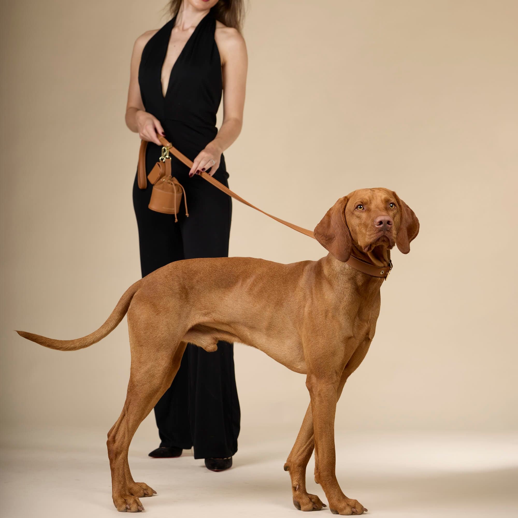 William Walker Hochwertige Glattleder Hundeleine Caramel