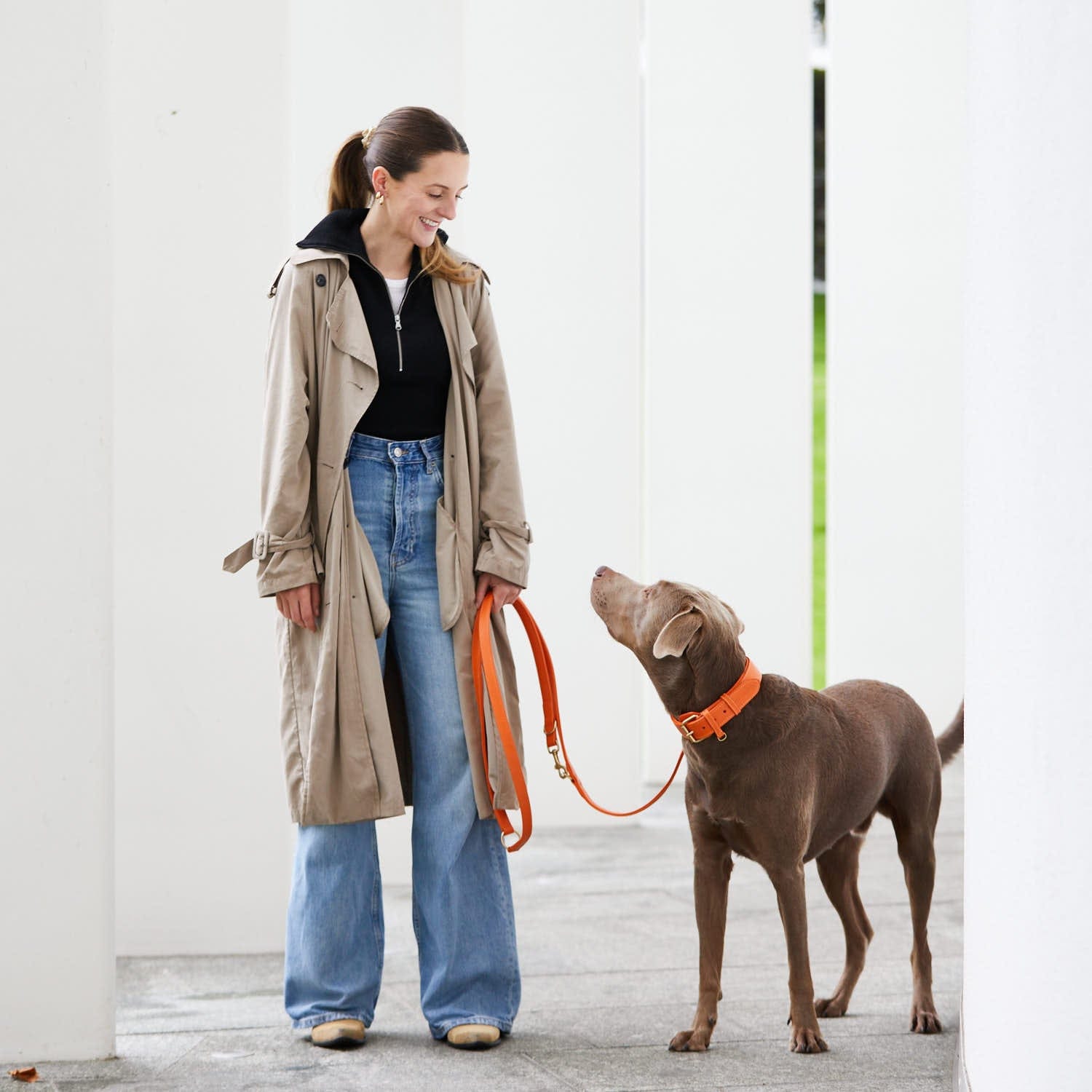 William Walker Leder Hundehalsband Amber (Orange)