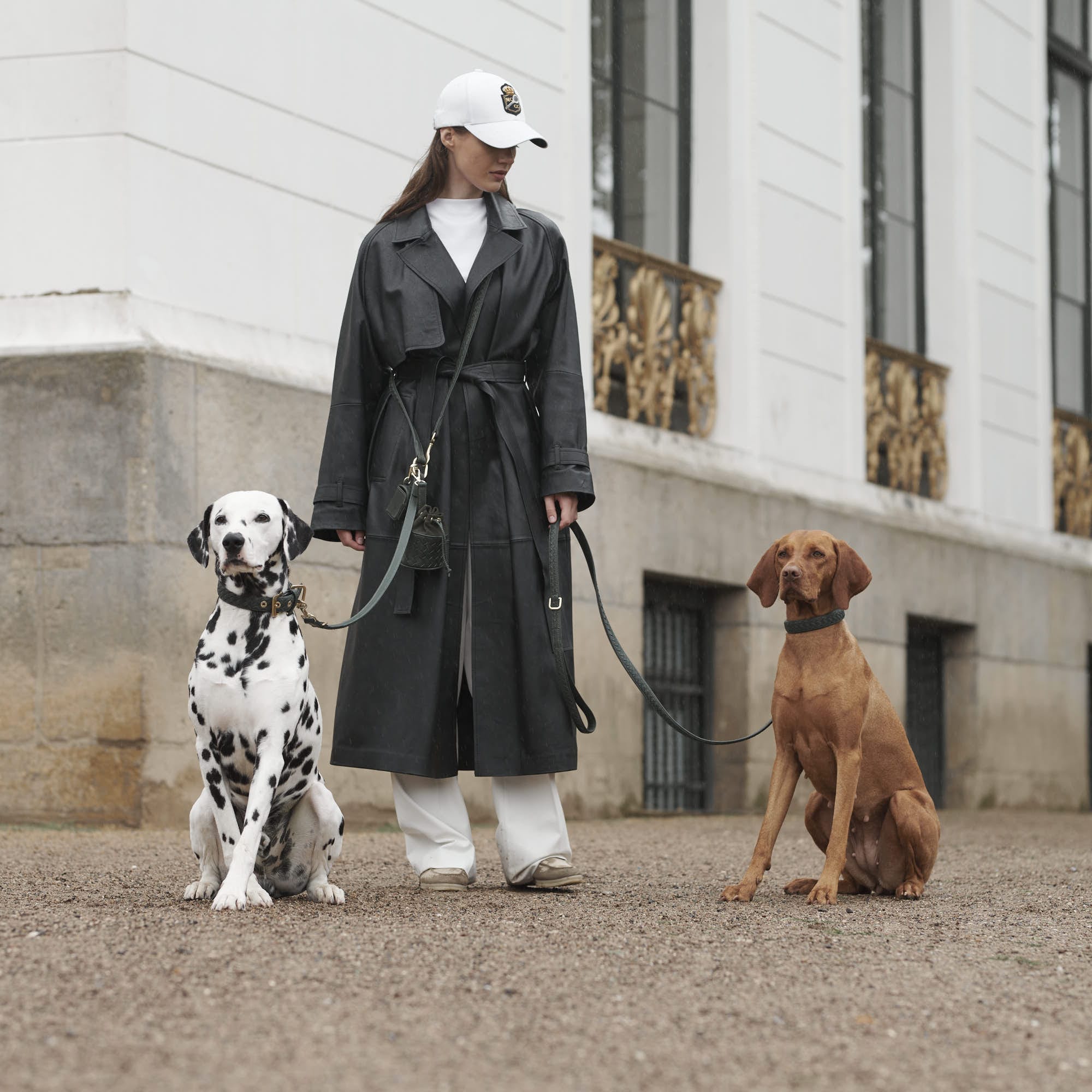 William Walker Hochwertige Leder Hundeleine Prestige Forest (Waldgrün)