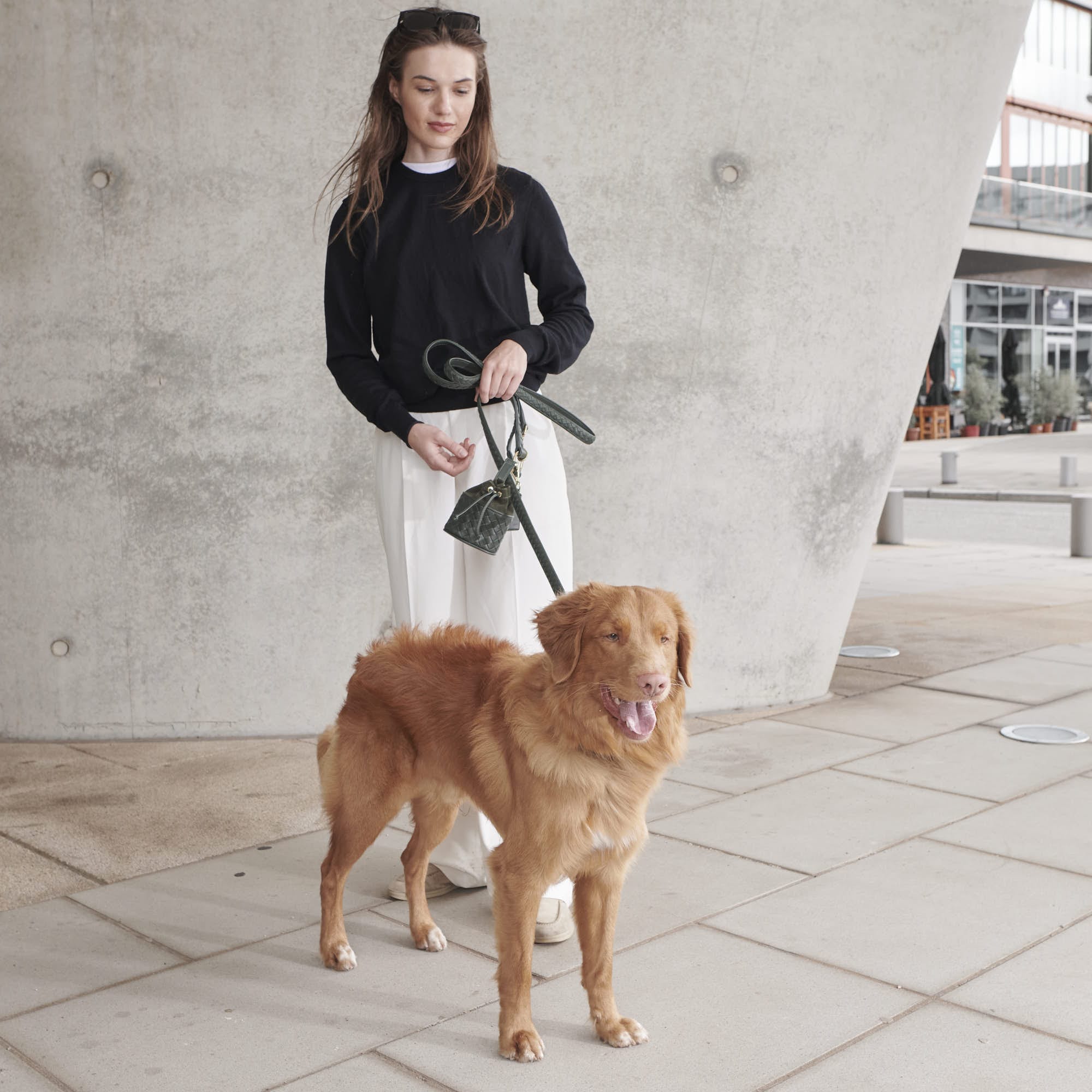 William Walker Hochwertige Leder Hundeleine Prestige Forest (Waldgrün)