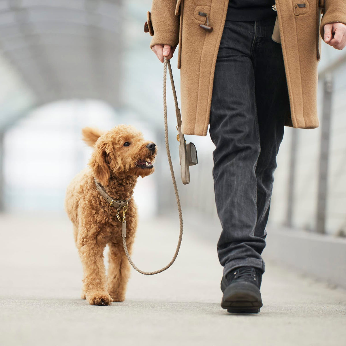 William Walker Premium Leather Dog Leash Twisted Sand (Beige)