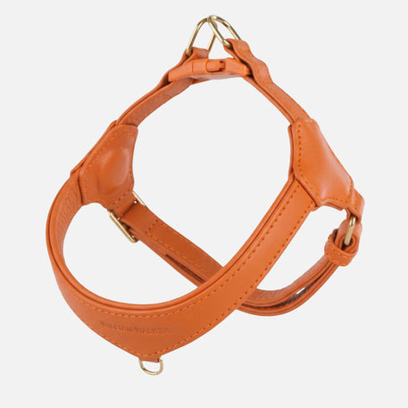 William Walker Step-In Leather Dog Harness Pico for Small Dogs Amber (orange) / 1