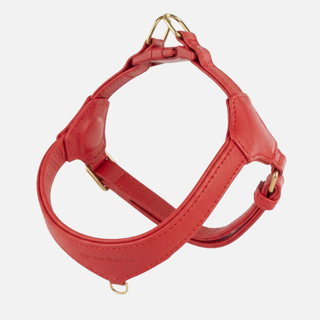 William Walker Step-In Leather Dog Harness Pico for Small Dogs Chili (rot) / 1
