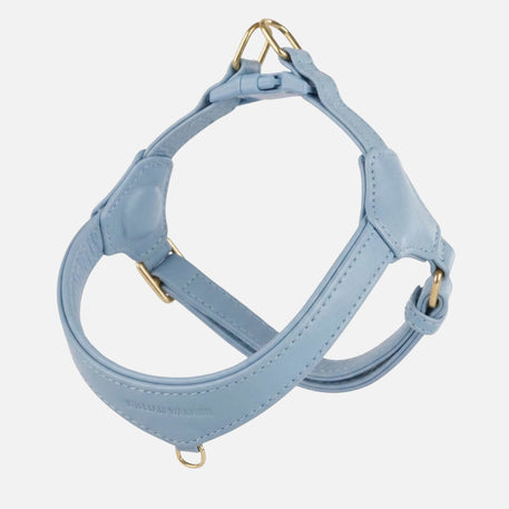 William Walker Step-In Leather Dog Harness Pico for Small Dogs Sky (hellblau) / 1