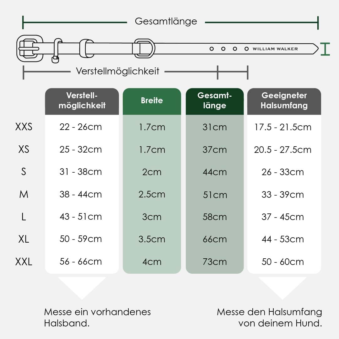 William Walker Premium Walking Set aus Leder - Sommer Angebot
