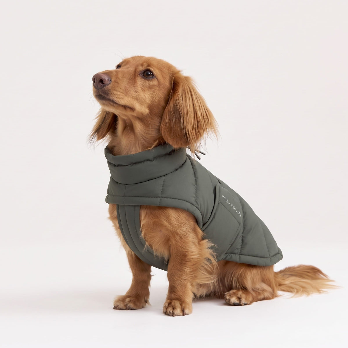 William Walker Cappotto invernale per cani Alpine per bassotti