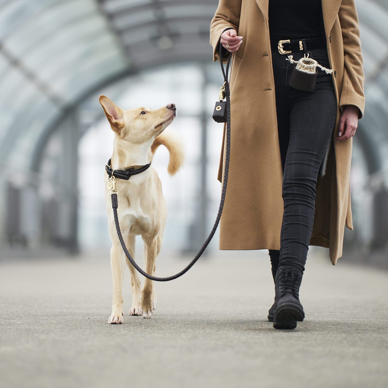 William Walker Hundeleine Twisted Earth