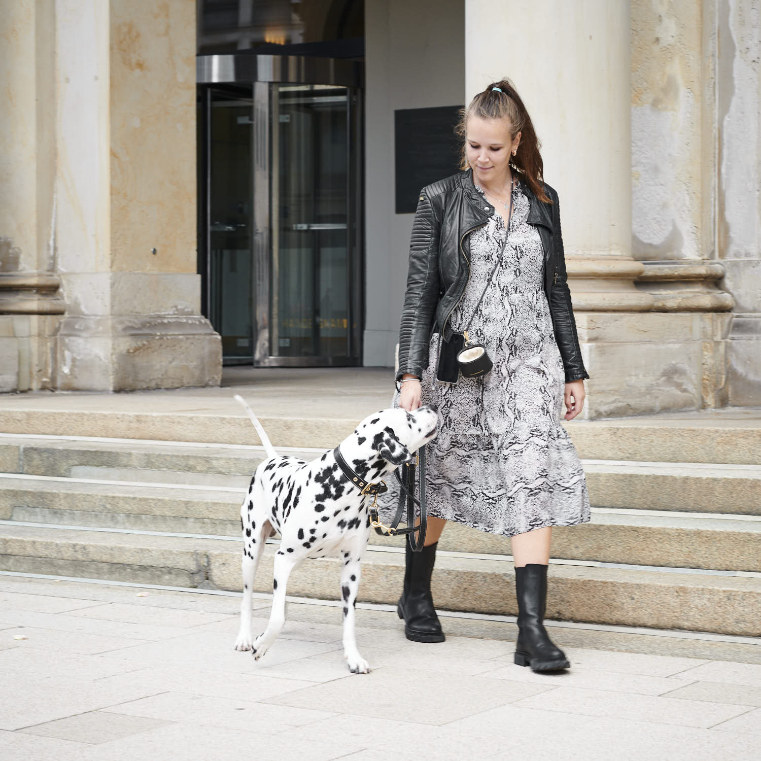 William Walker Hundehalsband Noir