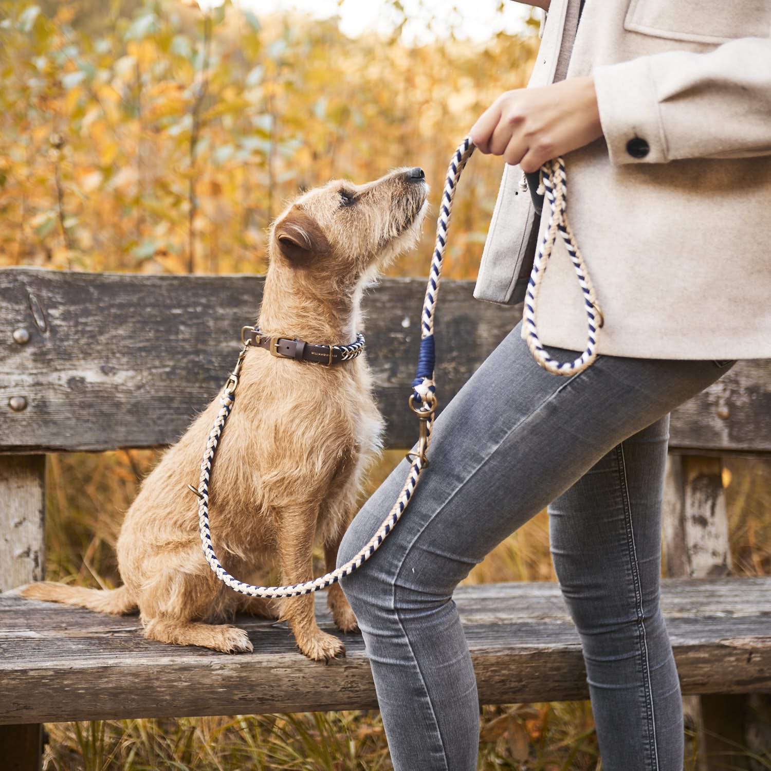 William Walker Paracord Hundehalsband Hanseatic
