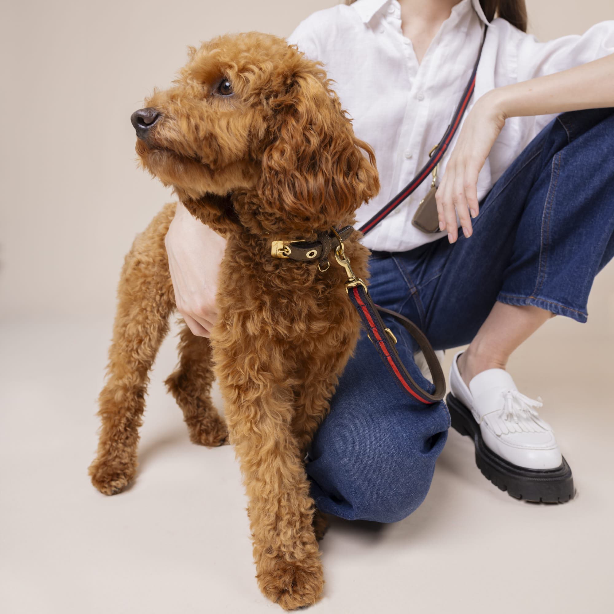 Poodle trägt ein Charles Lederhalsband in braun, blau und rot, eine Frau daneben trägt eine Hundeleine aus Leder in braun, rot und blau