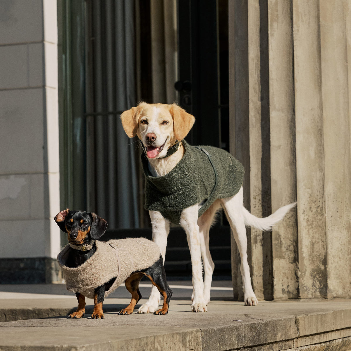 William Walker Gemütlicher Fleece Hundemantel Cozy für Dackel