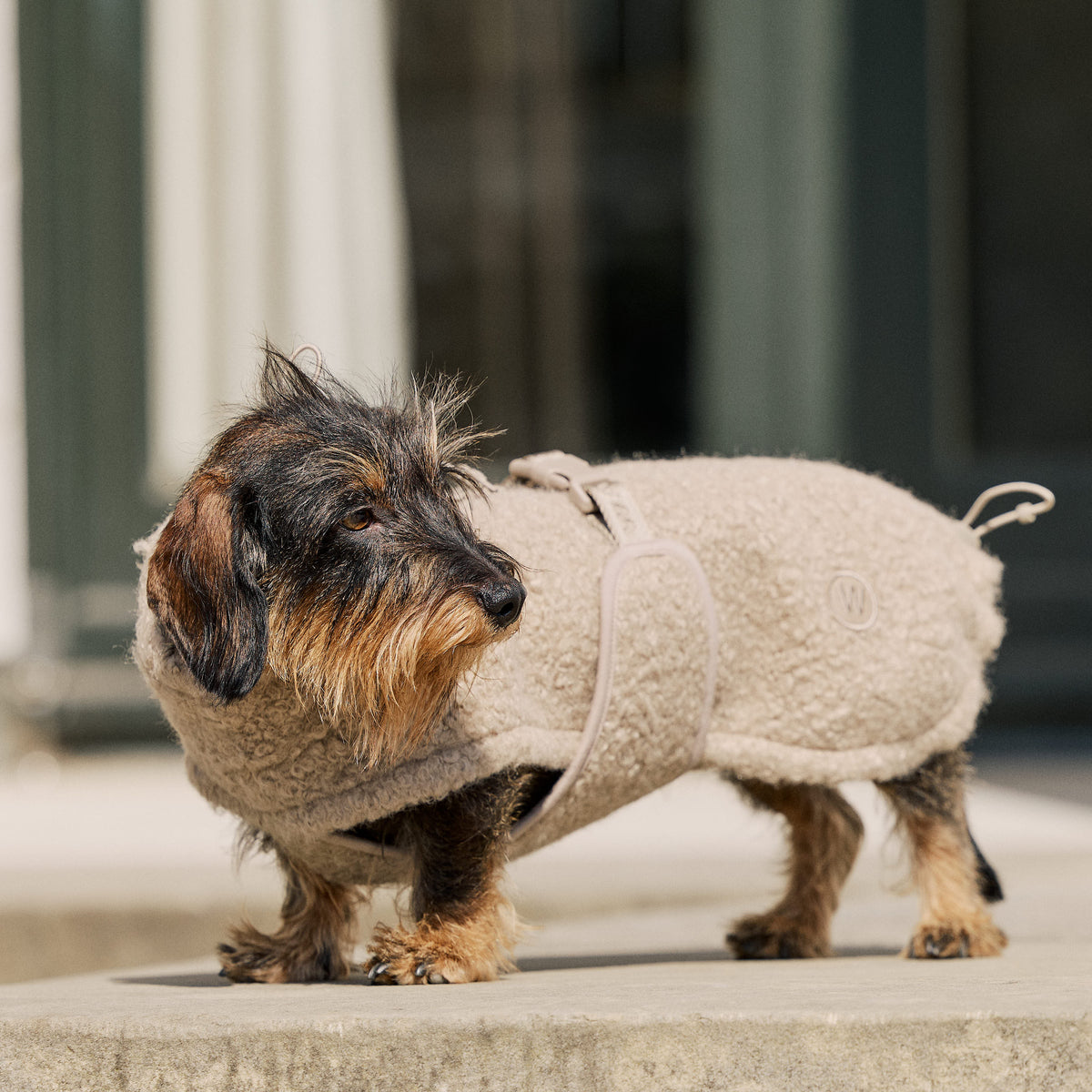 William Walker Cappottino in pile per cani Cozy per bassotti Sand / 2