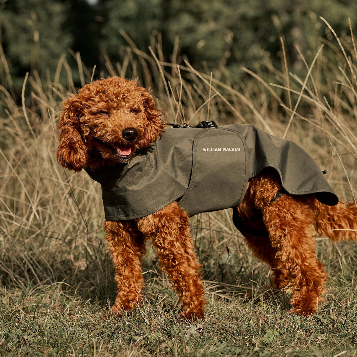 William Walker Impermeabile per cani Harbour
