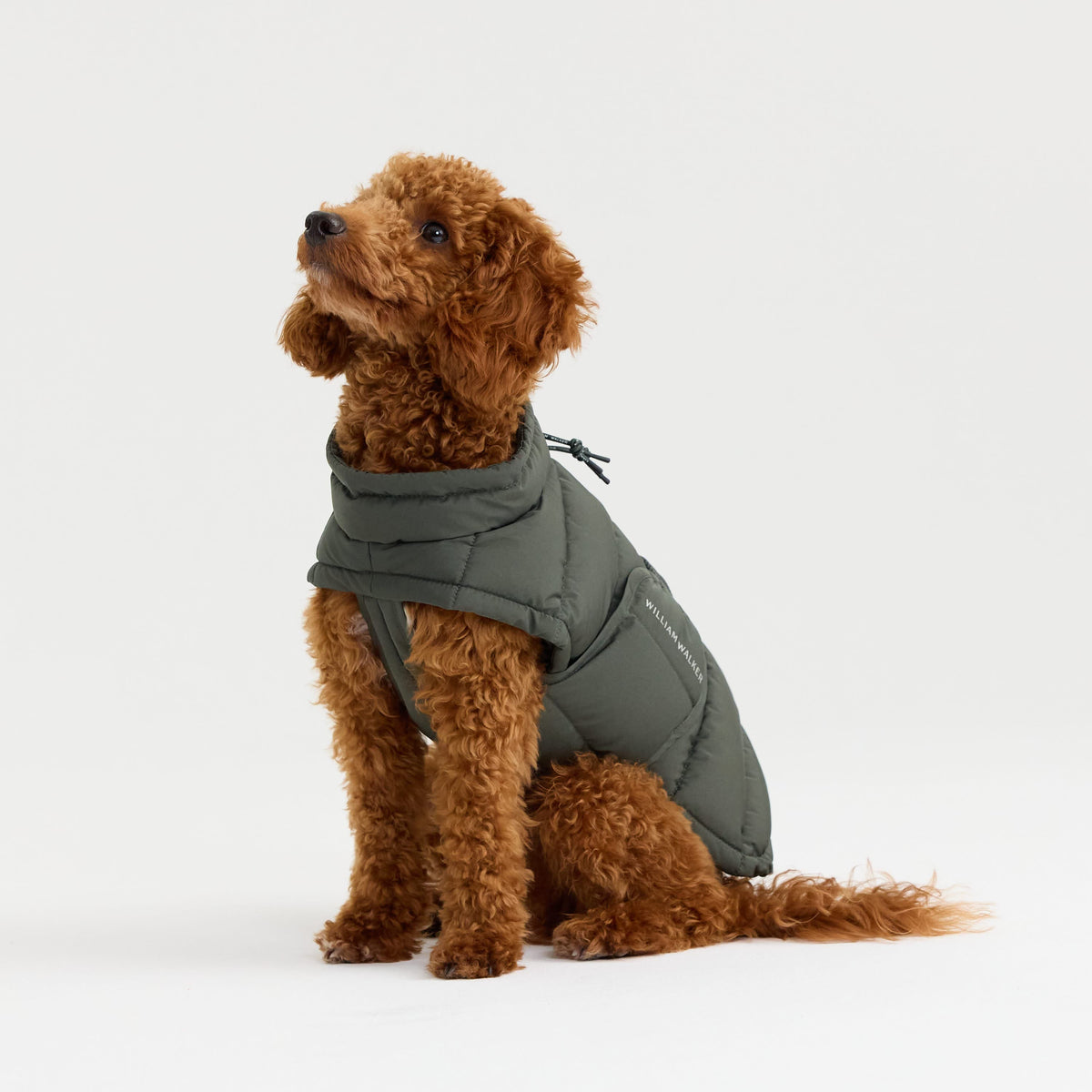 William Walker Warmer Winter Hundemantel Alpine