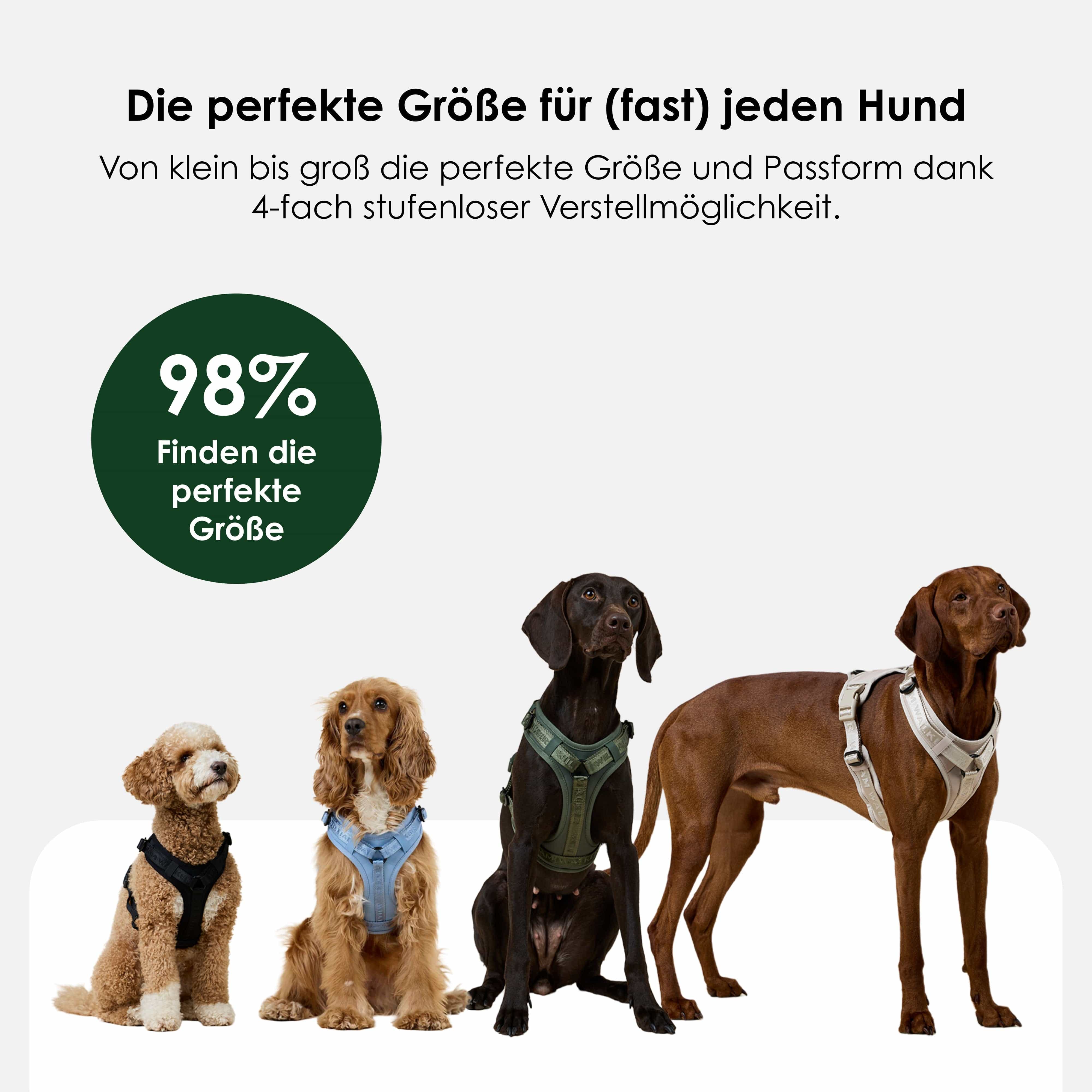 William Walker Hochwertiges Y-Hundegeschirr Earth (braun)