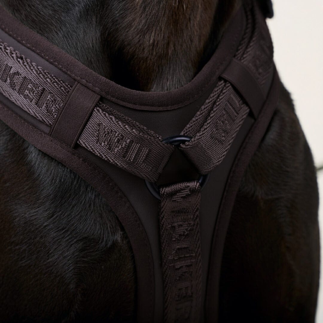 William Walker Hochwertiges Y-Hundegeschirr Earth (braun)