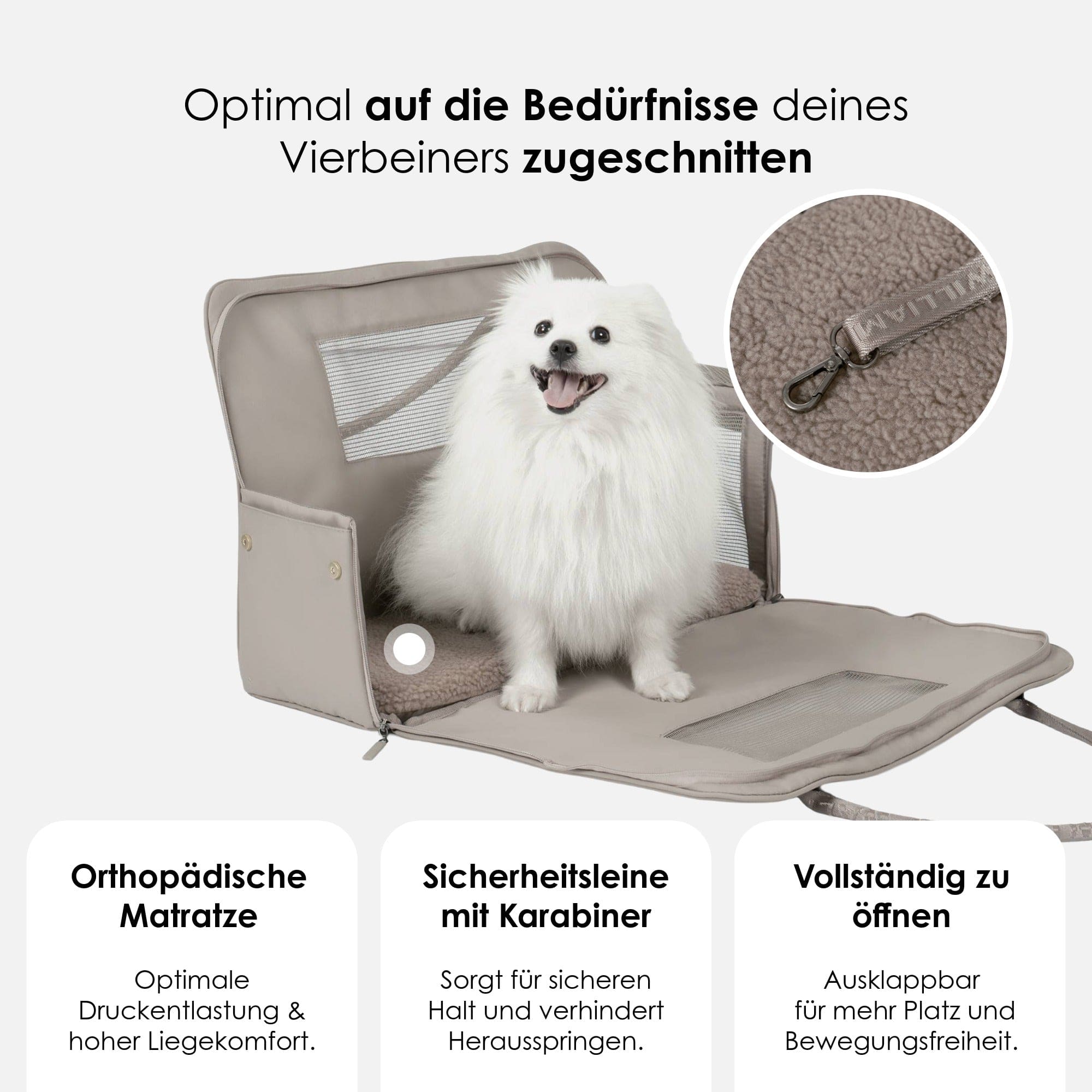 William Walker Hundetragetasche fürs Flugzeug Cloud Summit