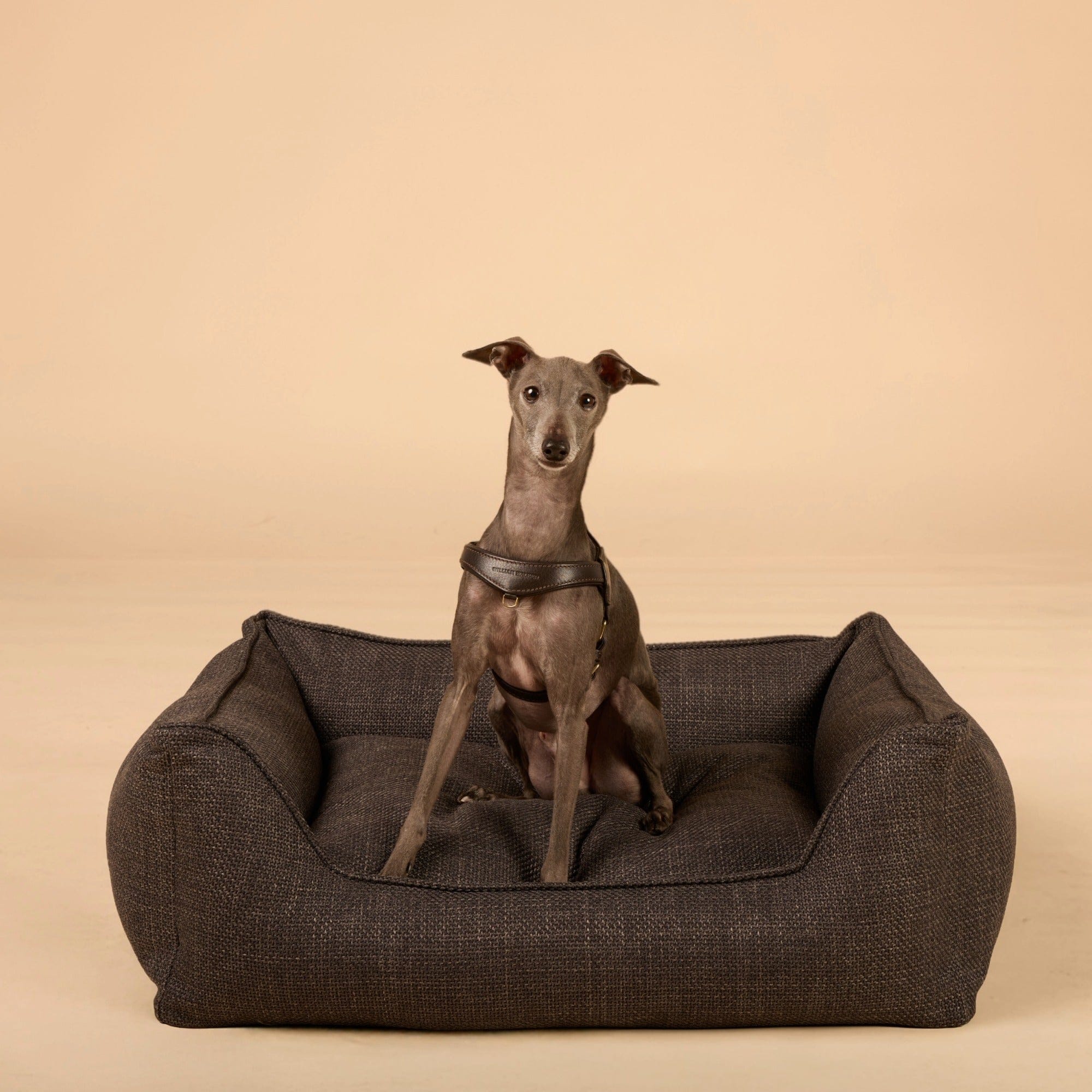 William Walker Orthopädisches Hundebett Luxe