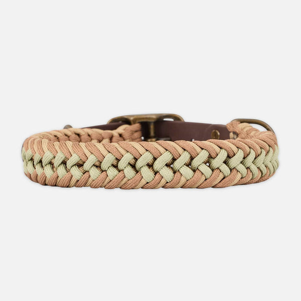 Collier pour chien Paracord BioThane® Shire