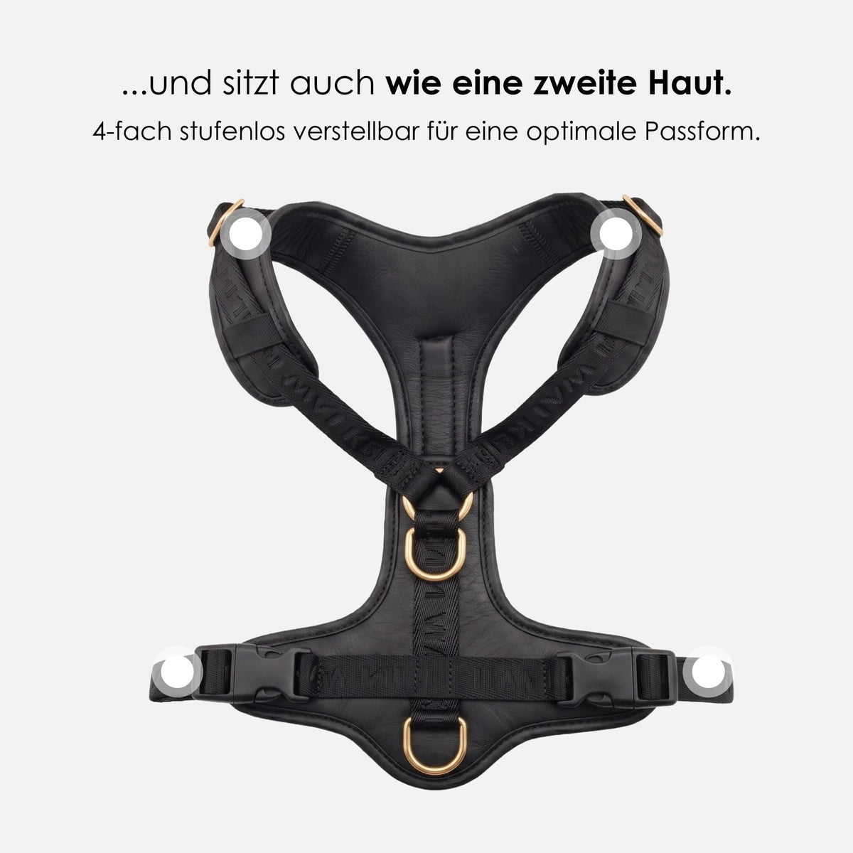 William Walker Hochwertiges Leder Y-Hundegeschirr Plain