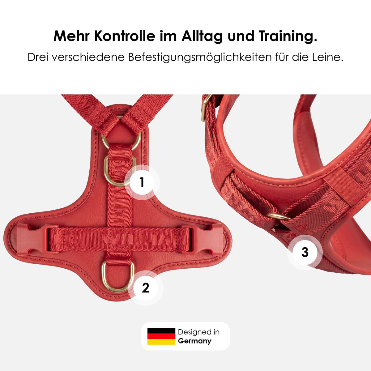 William Walker Hochwertiges Leder Y-Hundegeschirr Plain