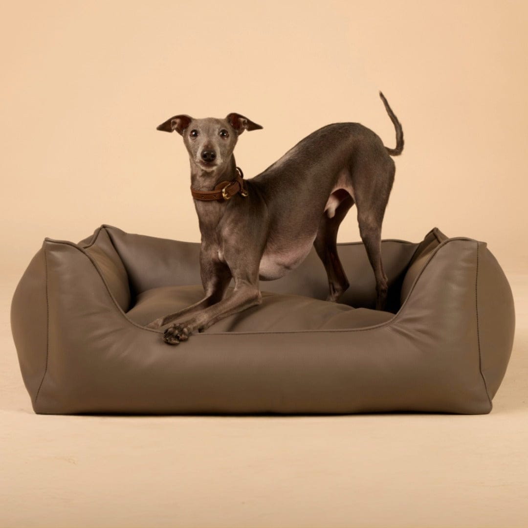 William Walker Panier pour chien orthopédique Easy Stone / S / Kissen (Flocken)