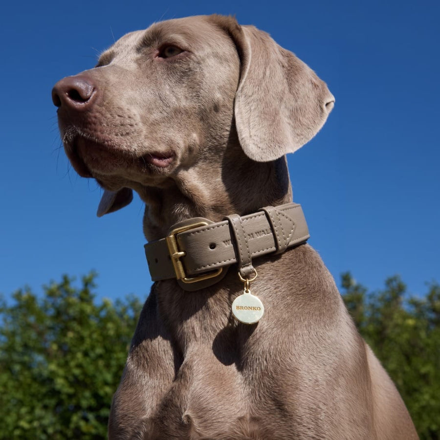 Targhetta per cane in ottone personalizzabile
