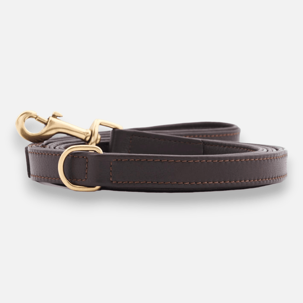 Laisse pour chien haut de gamme en cuir Earth (Marron)