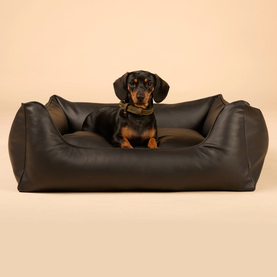 William Walker Panier pour chien orthopédique Easy Midnight / S / Kissen (Flocken)