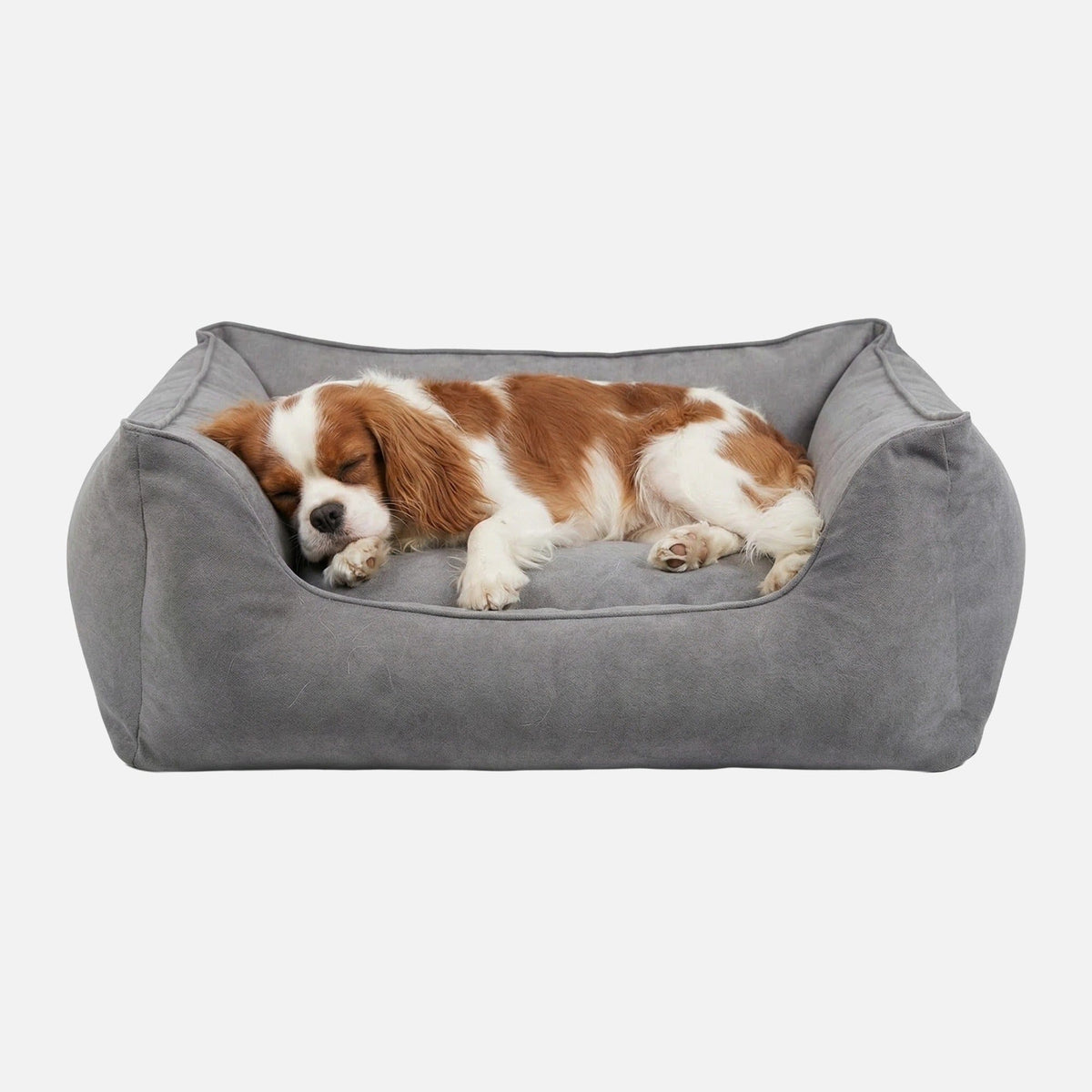 William Walker Panier pour chien orthopédique Plain Cloud / S / Kissen (Flocken)