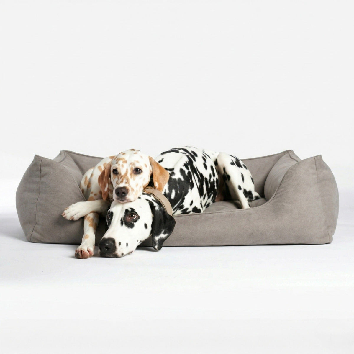 William Walker Panier pour chien orthopédique Plain Sand (Beige) / S / Kissen (Flocken)