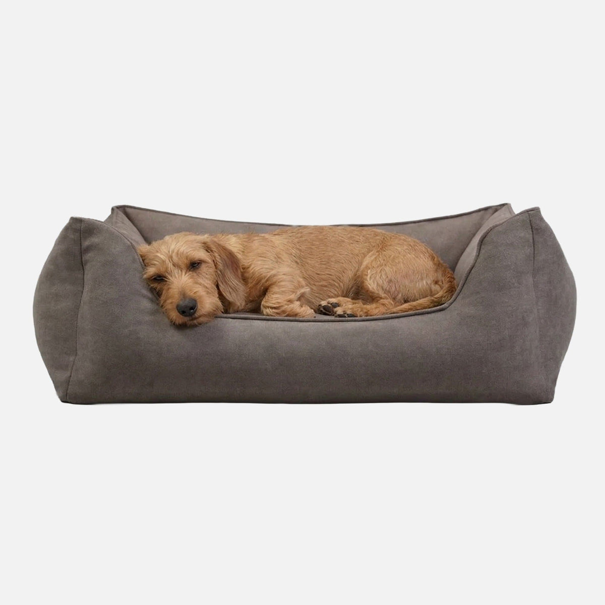William Walker Panier pour chien orthopédique Plain Stone / S / Kissen (Flocken)
